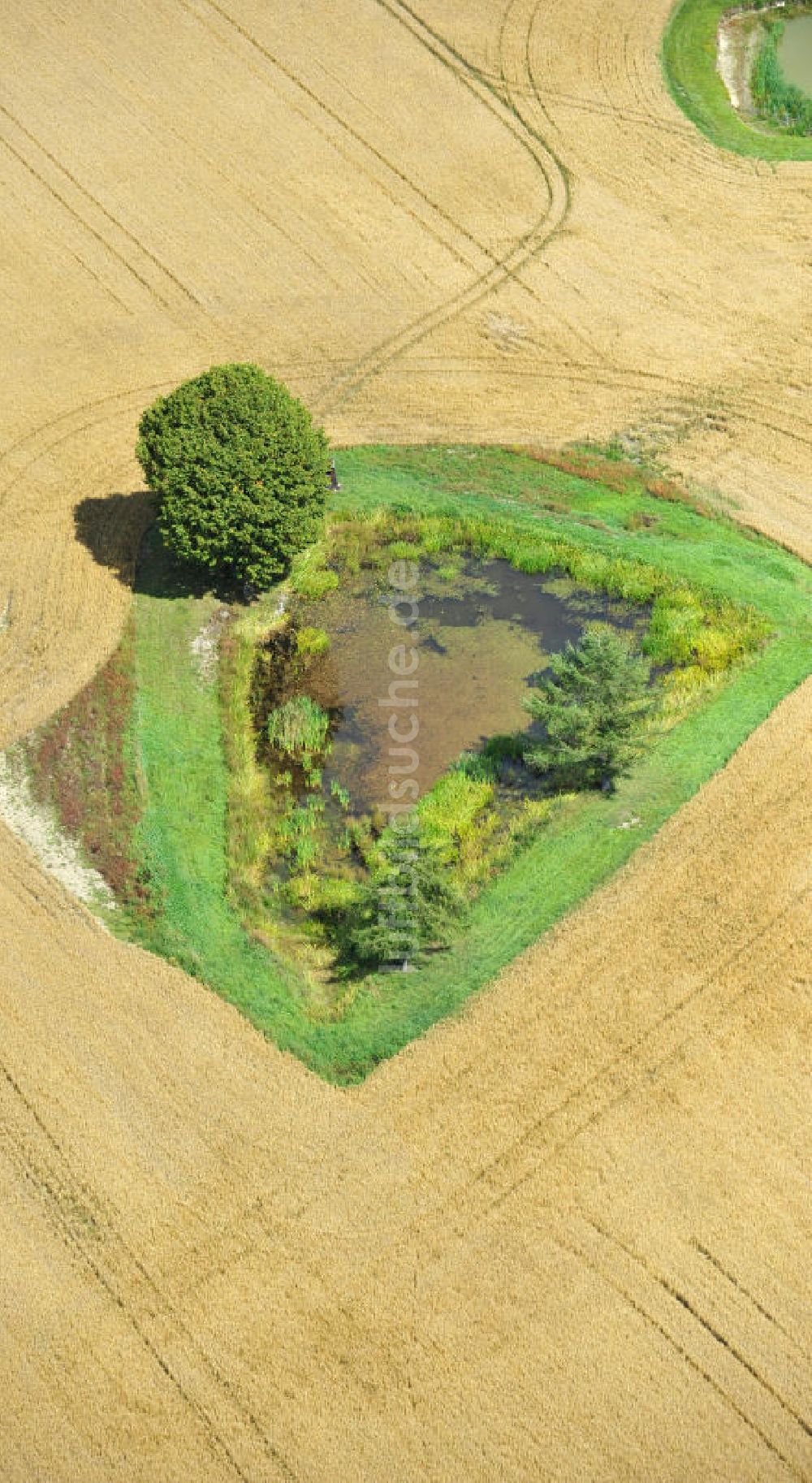 Luftbild Mönchgrün - Herbstlandschaft abgeernteter Felder mit einem Tümpel und Baumbewuchs als Insel bei Mönchgrün in Thüringen