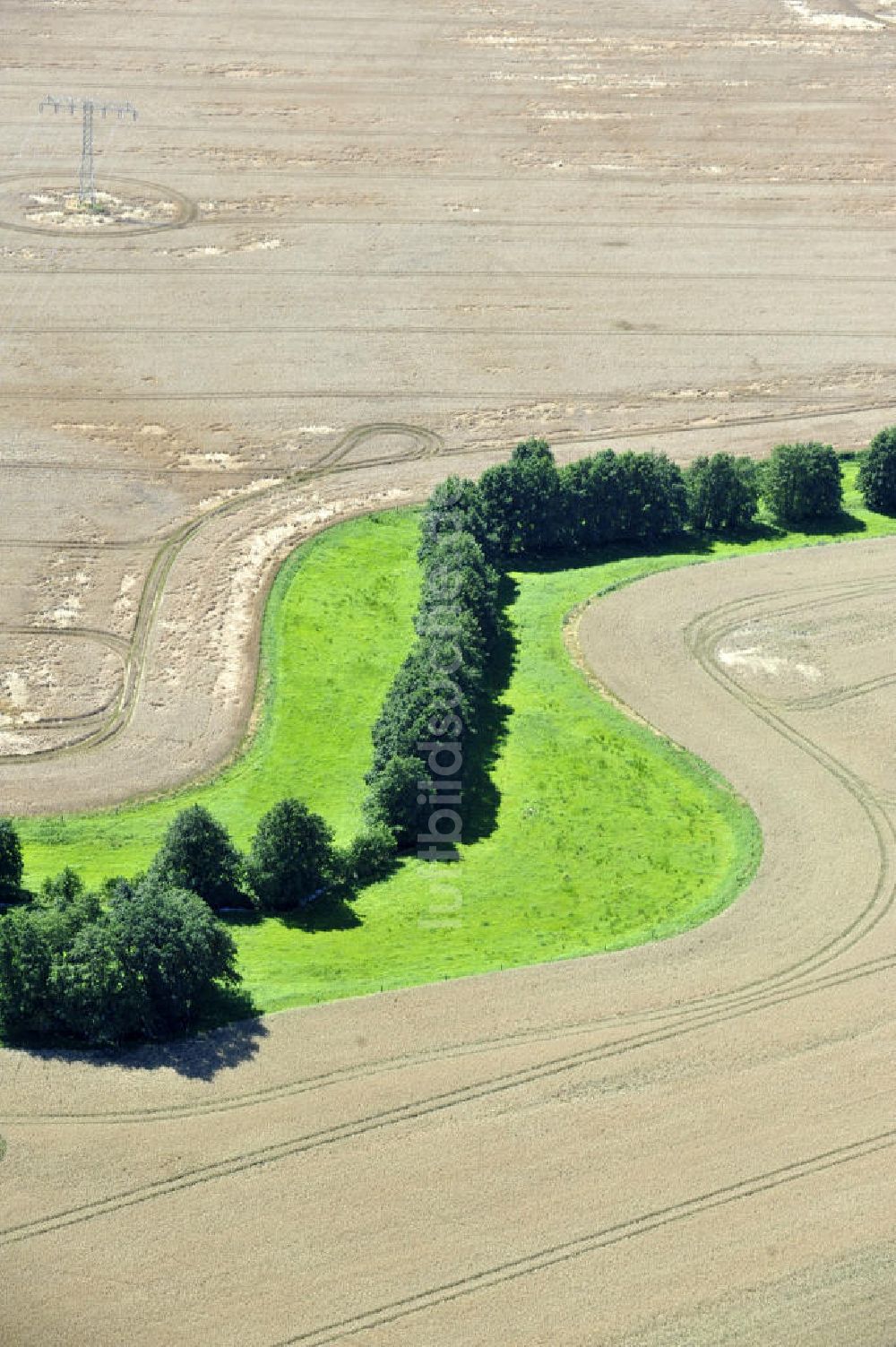 Luftaufnahme Blankenhagen - Herbstlandschaft bei Blankenhagen in Mecklenburg-Vorpommern