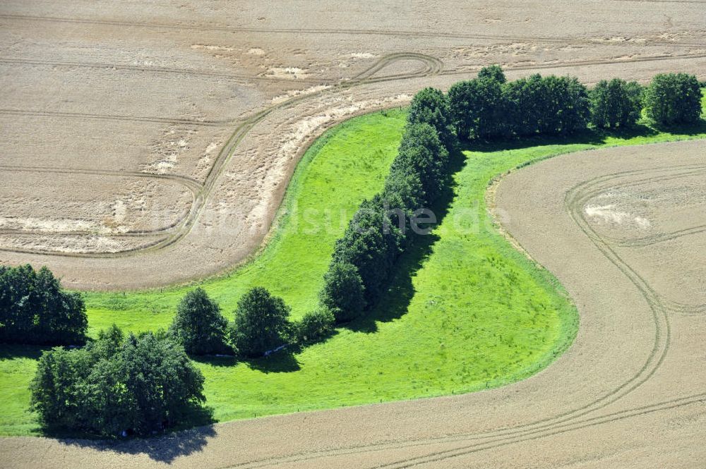 Blankenhagen von oben - Herbstlandschaft bei Blankenhagen in Mecklenburg-Vorpommern