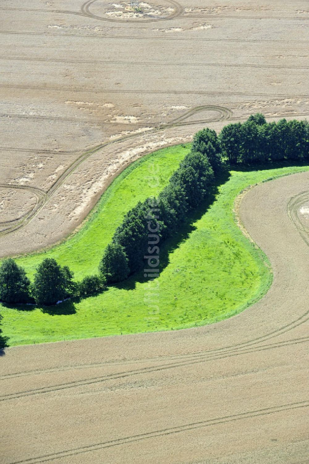 Blankenhagen aus der Vogelperspektive: Herbstlandschaft bei Blankenhagen in Mecklenburg-Vorpommern