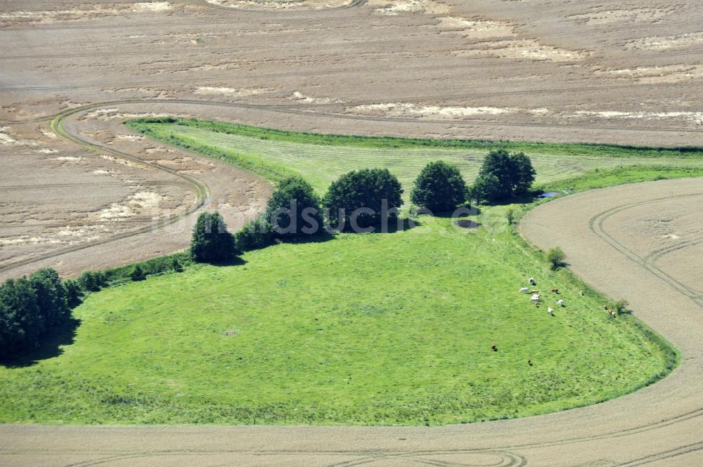 Luftbild Blankenhagen - Herbstlandschaft bei Blankenhagen in Mecklenburg-Vorpommern