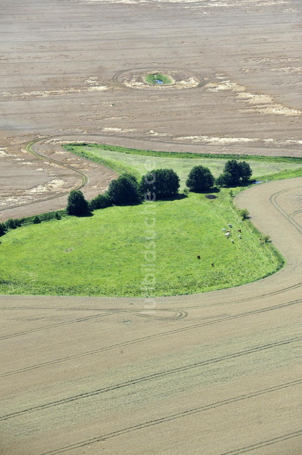 Luftaufnahme Blankenhagen - Herbstlandschaft bei Blankenhagen in Mecklenburg-Vorpommern