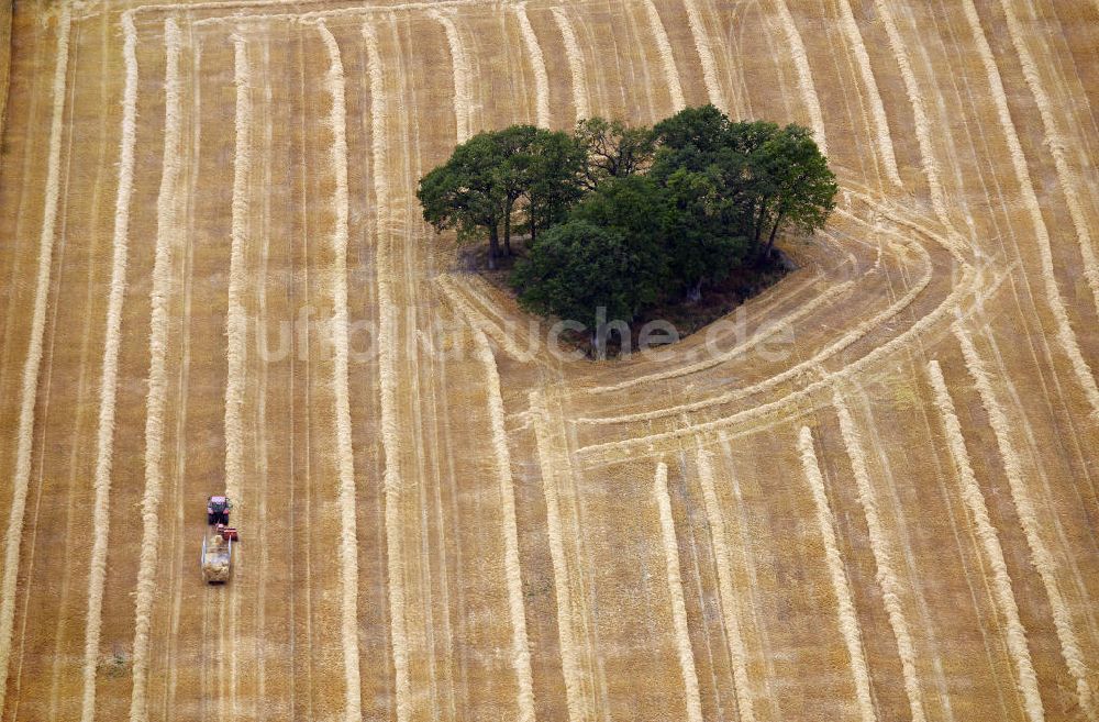 Luftaufnahme Drensteinfurt - Herbstlandschaft bei Drensteinfurt in Nordrhein-Westfalen