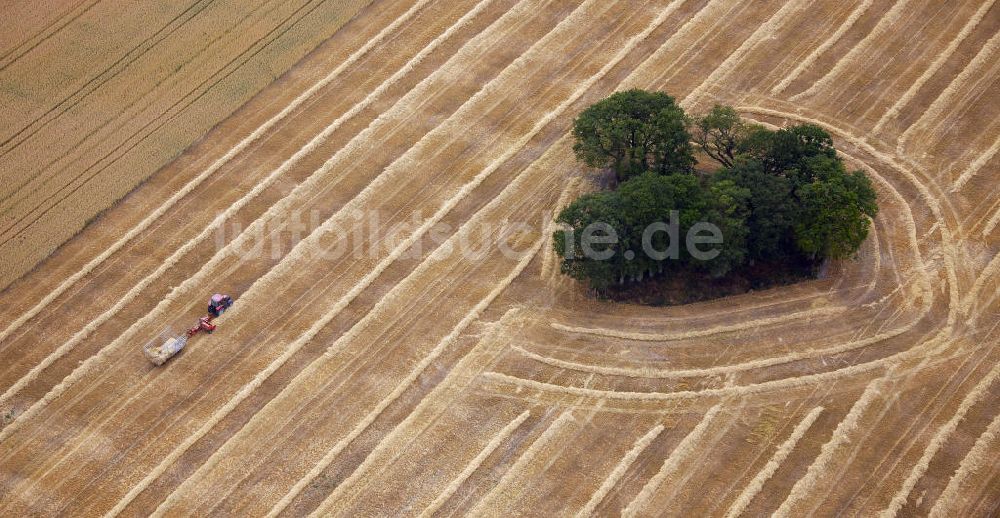 Drensteinfurt von oben - Herbstlandschaft bei Drensteinfurt in Nordrhein-Westfalen