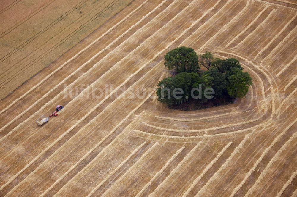 Drensteinfurt aus der Vogelperspektive: Herbstlandschaft bei Drensteinfurt in Nordrhein-Westfalen