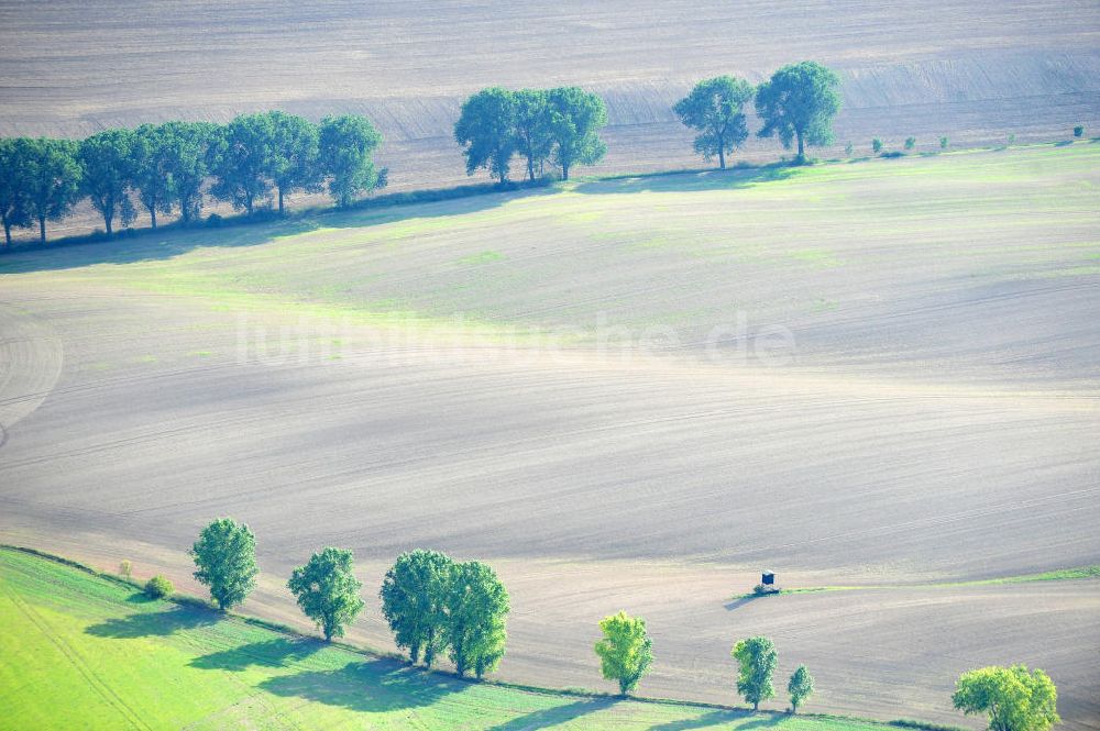 Luftaufnahme Mannsfeld - Herbstlandschaft über Feldlandschaften bei Mansfeld in Sachsen-Anhalt