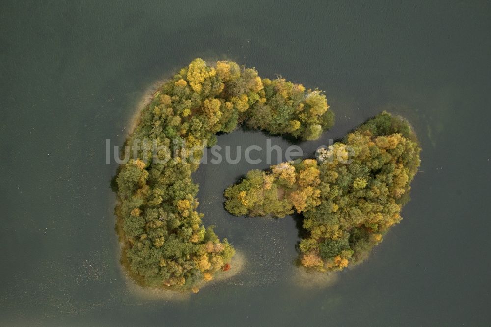 Bottrop Kirchhellen aus der Vogelperspektive: Herbstlandschaft am Heidesee in Bottrop-Kirchhellen im Bundesland Nordrhein-Westfalen