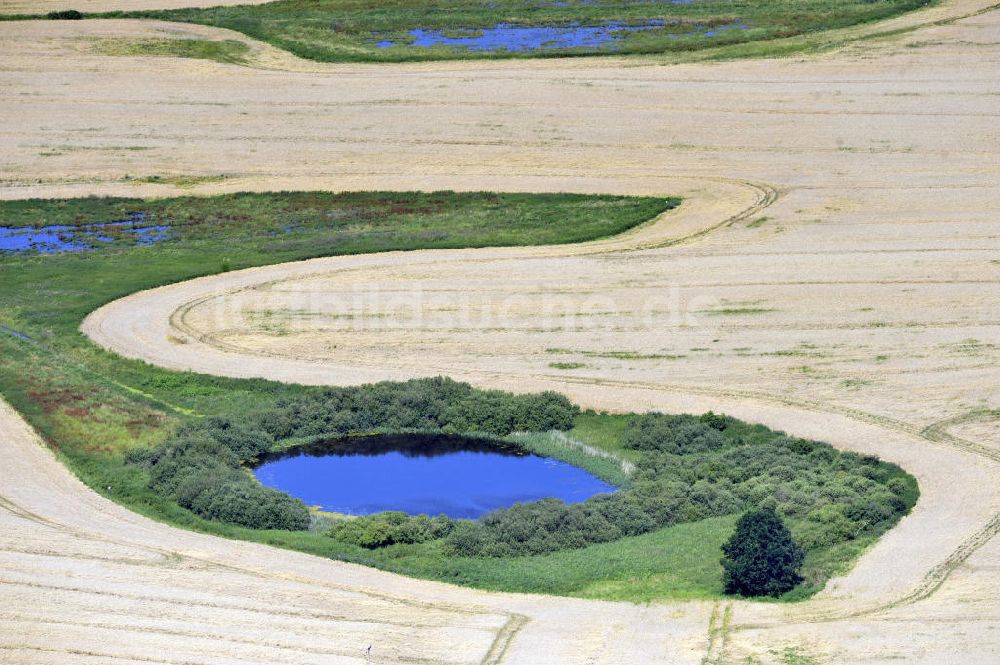 Dalwitz von oben - Herbstlandschaft in Mecklenburg-Vorpommern