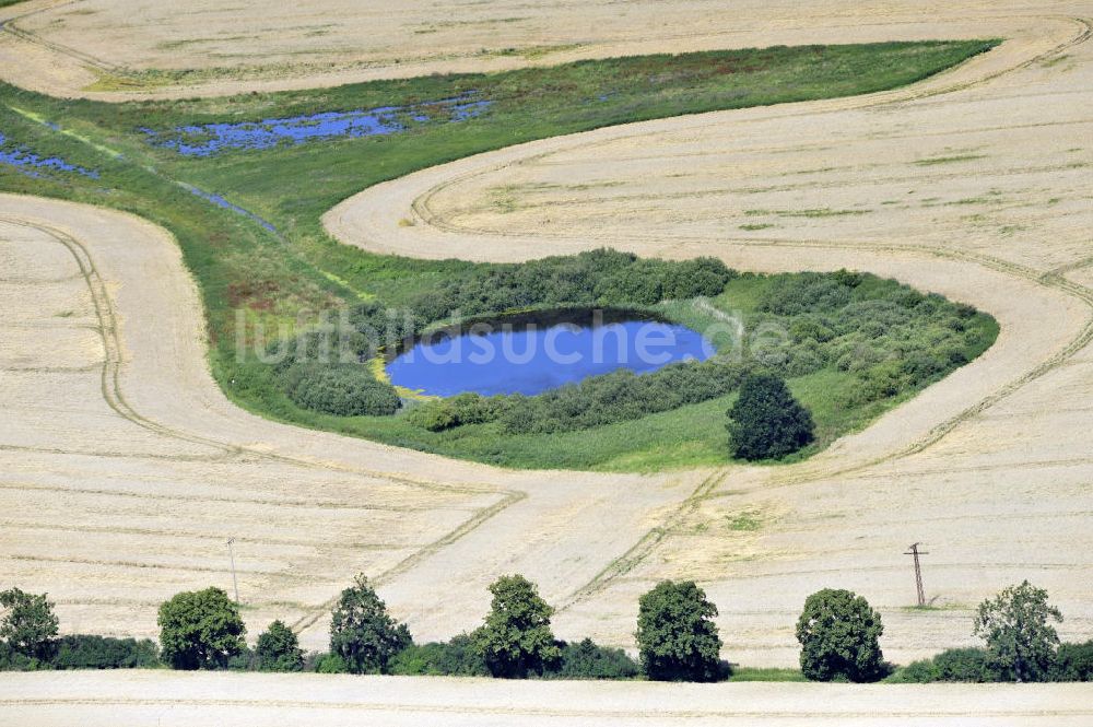 Luftbild Dalwitz - Herbstlandschaft in Mecklenburg-Vorpommern