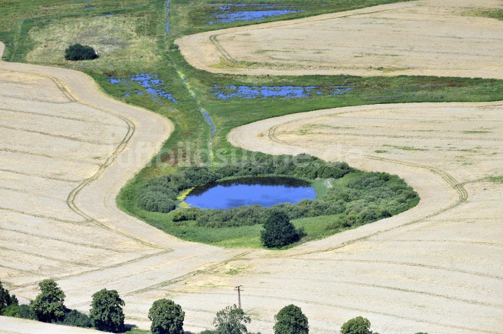 Luftaufnahme Dalwitz - Herbstlandschaft in Mecklenburg-Vorpommern