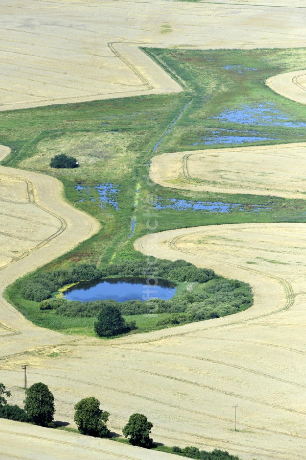 Dalwitz von oben - Herbstlandschaft in Mecklenburg-Vorpommern