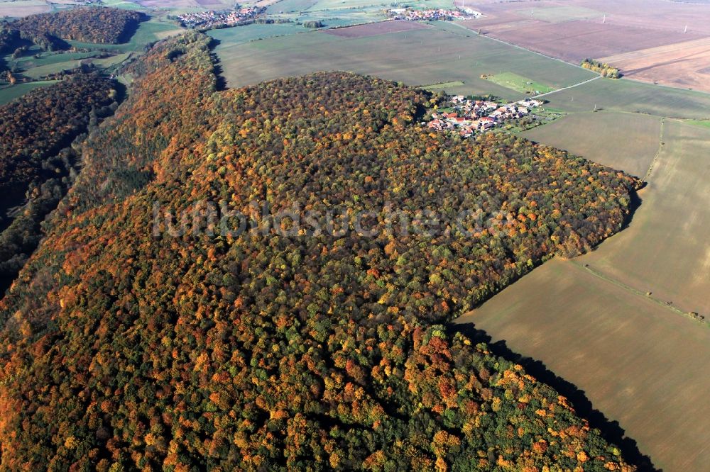 Hainichen von oben - Herbstlandschaft mit Mischwald am Ortsrand von Hainichen in Thüringen