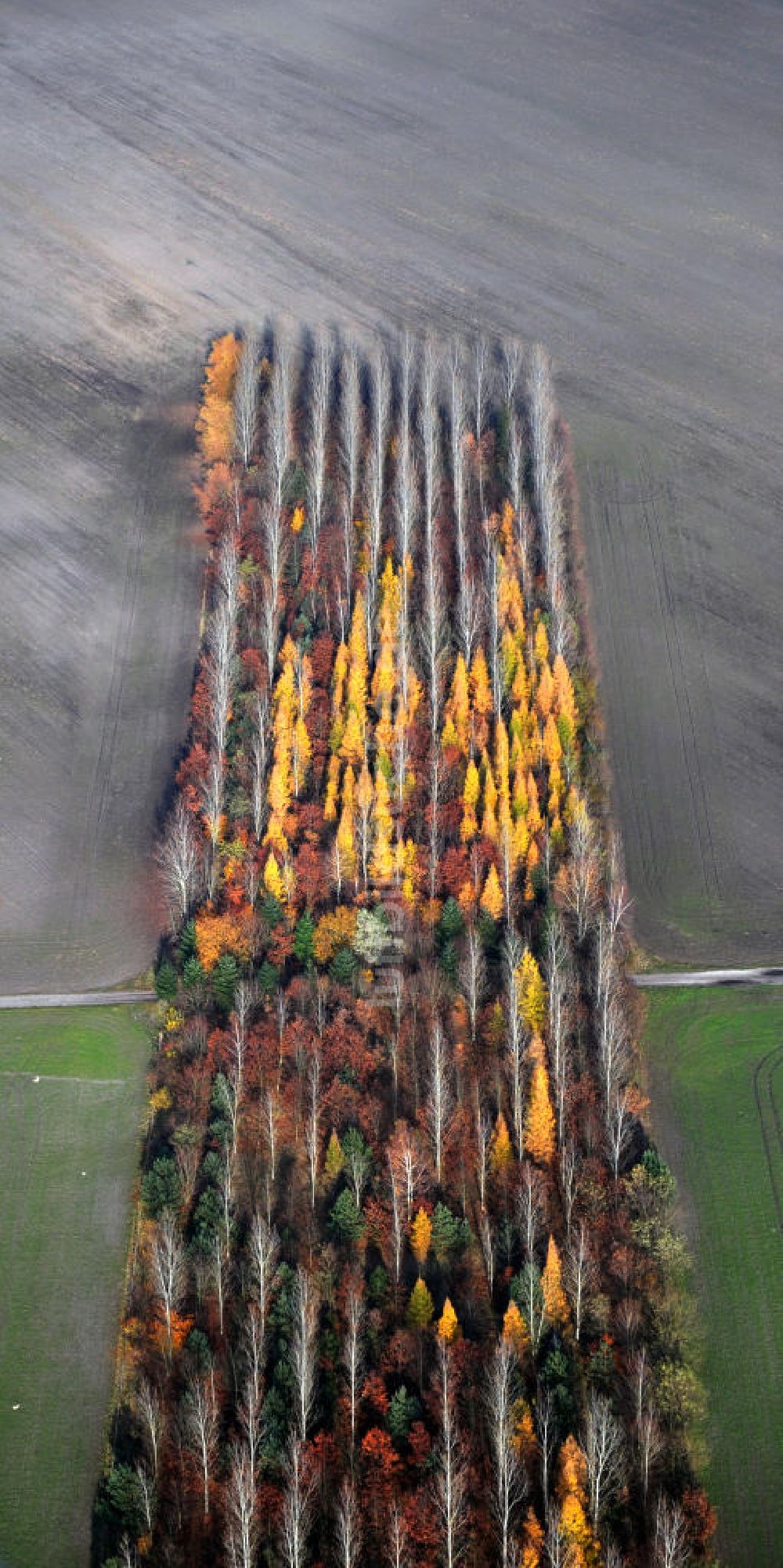 Schönborn OT Lindena aus der Vogelperspektive: Herbstlandschaft nahe dem Naherholungsgebiet Bad Erna