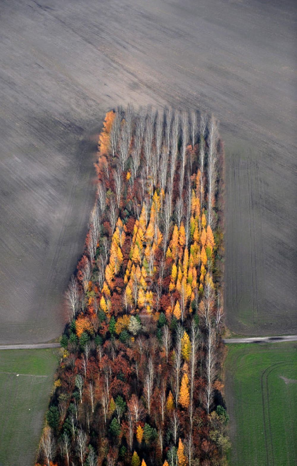 Luftbild Schönborn OT Lindena - Herbstlandschaft nahe dem Naherholungsgebiet Bad Erna