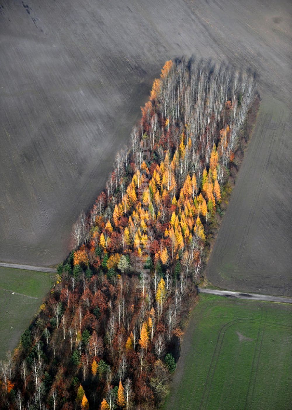 Luftaufnahme Schönborn OT Lindena - Herbstlandschaft nahe dem Naherholungsgebiet Bad Erna