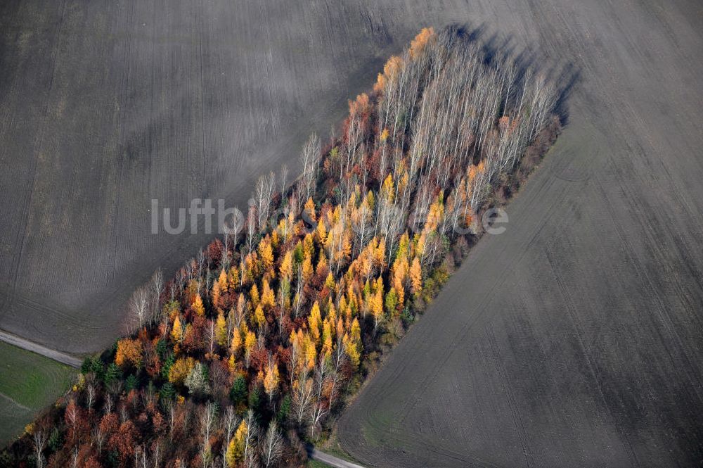 Schönborn OT Lindena von oben - Herbstlandschaft nahe dem Naherholungsgebiet Bad Erna