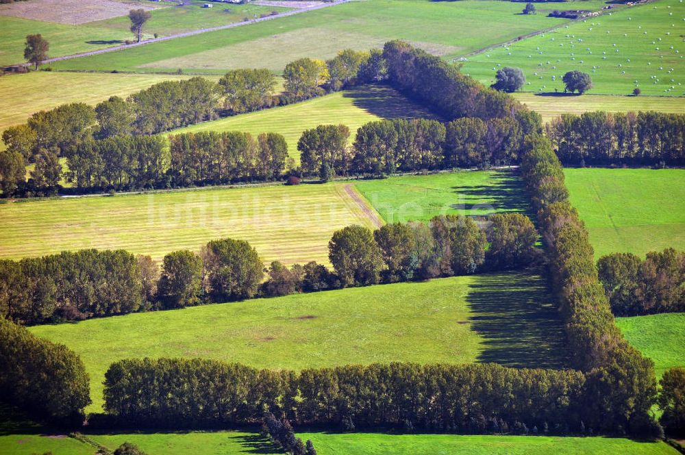 Luftaufnahme Neuruppin - Herbstlandschaft in der Ostpriegnitz