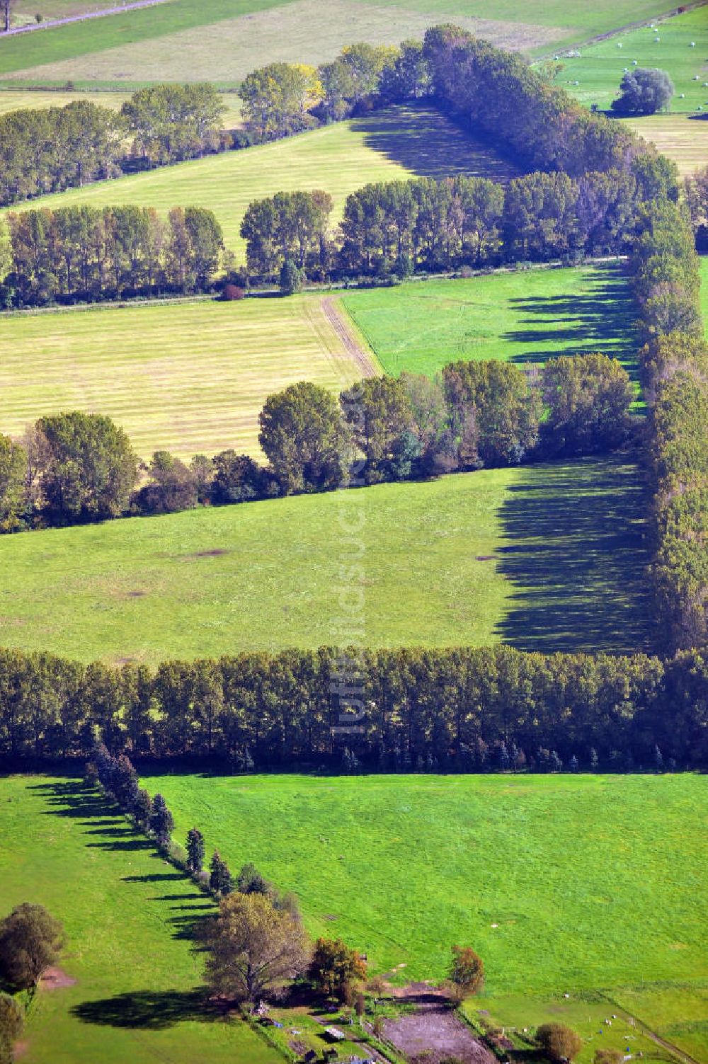 Neuruppin von oben - Herbstlandschaft in der Ostpriegnitz