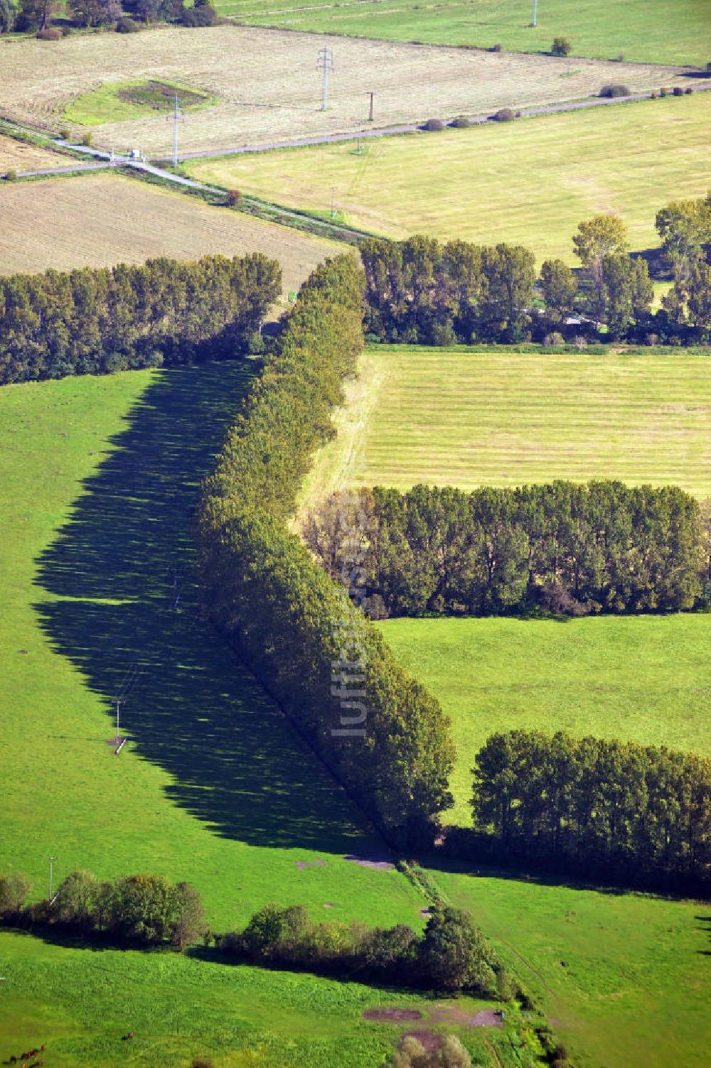 Neuruppin aus der Vogelperspektive: Herbstlandschaft in der Ostpriegnitz