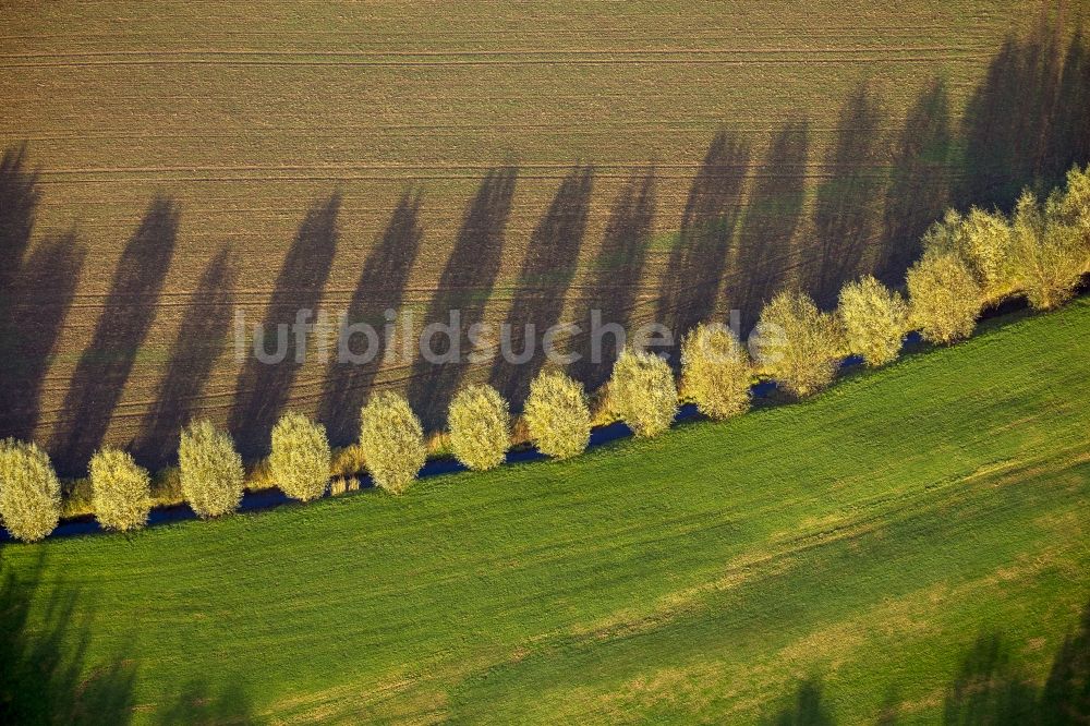 Luftaufnahme Duisburg - Herbstlandschaft mit einer Schatten werfenden Baumreihe und einem Feld in Duisburg - Huckingen im Bundesland Nordrhein-Westfalen