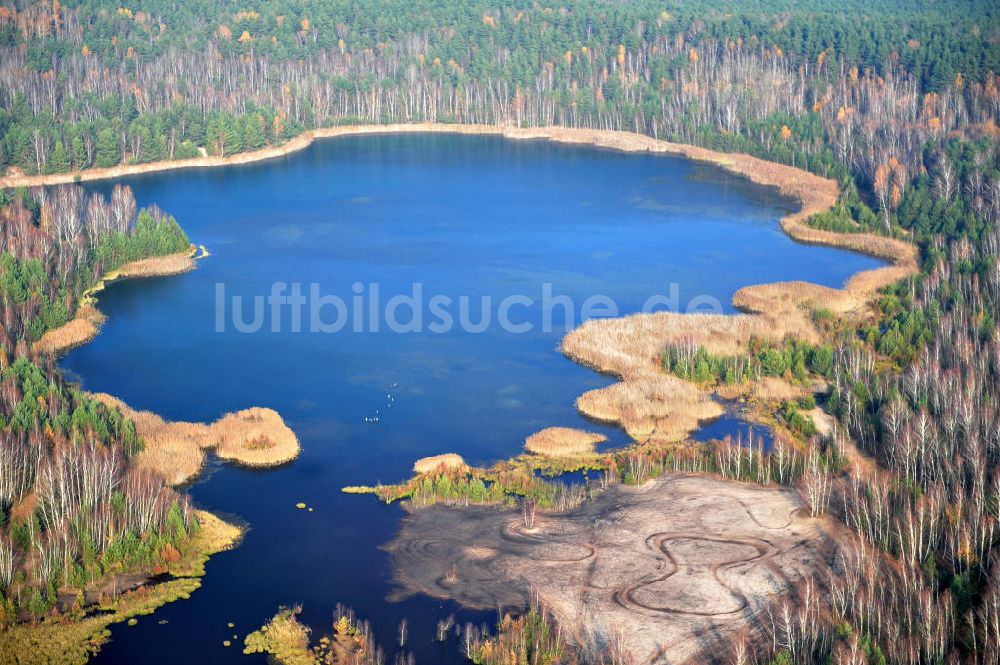 Luftaufnahme Schönborn OT Eichwald - Herbstlandschaft mit See bei Eichwald