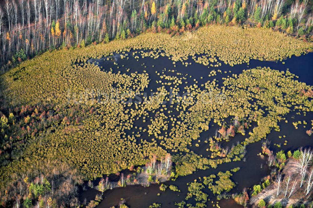 Schönborn OT Eichwald von oben - Herbstlandschaft mit See bei Eichwald