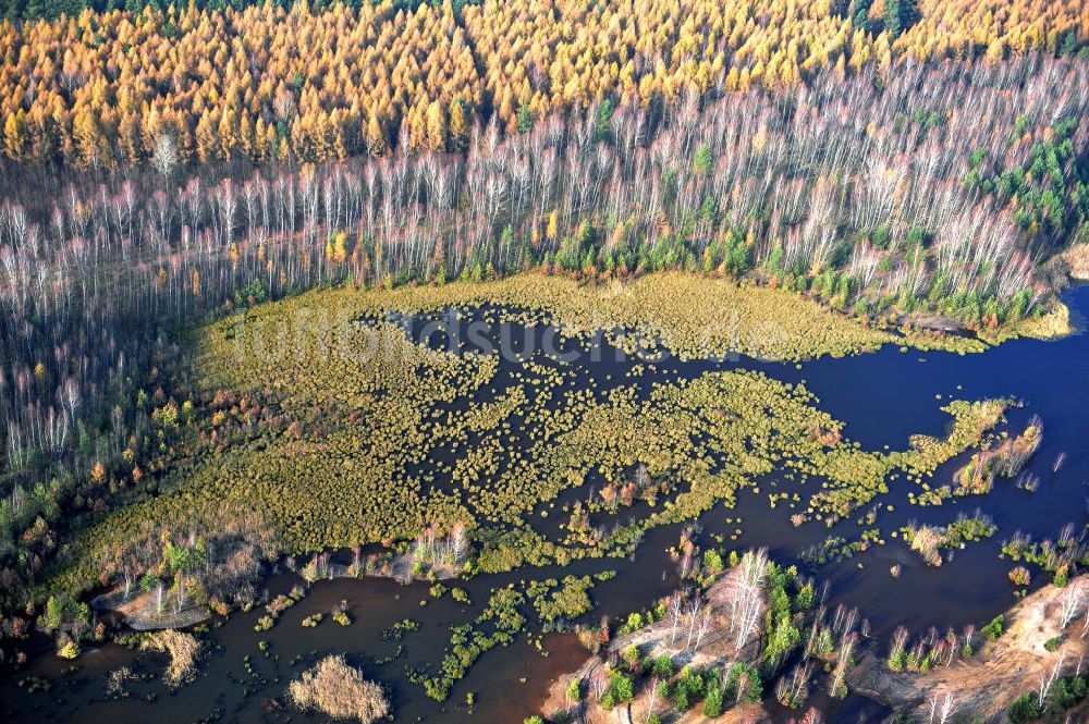 Schönborn OT Eichwald aus der Vogelperspektive: Herbstlandschaft mit See bei Eichwald