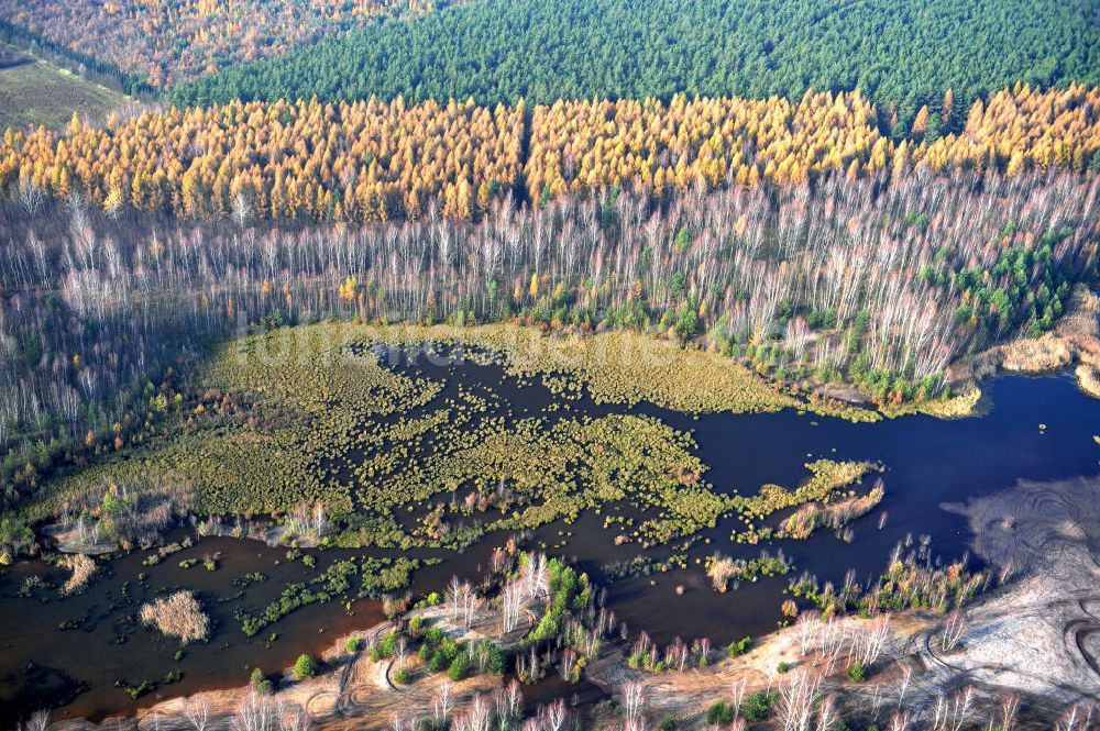 Luftbild Schönborn OT Eichwald - Herbstlandschaft mit See bei Eichwald