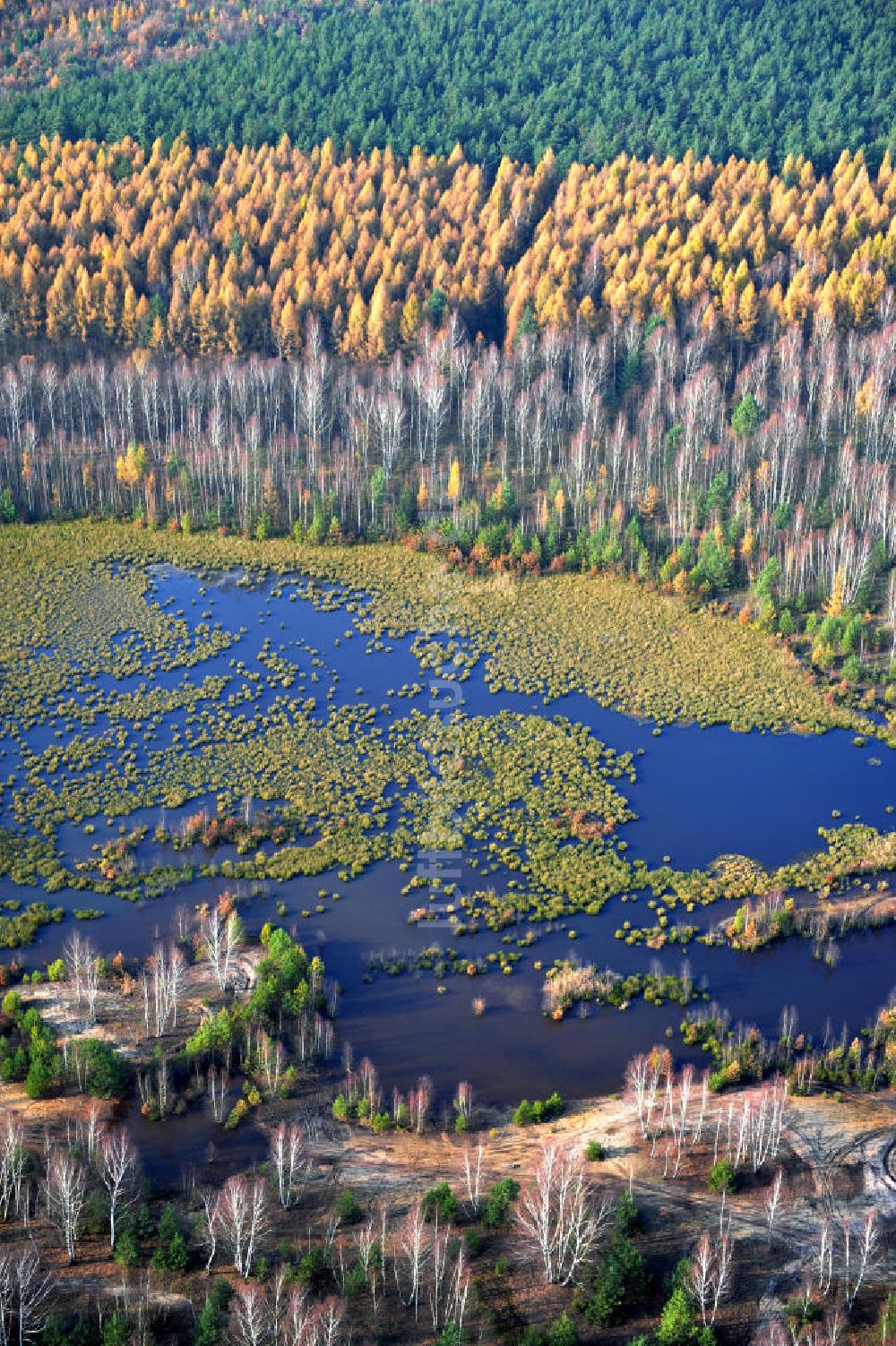 Luftaufnahme Schönborn OT Eichwald - Herbstlandschaft mit See bei Eichwald