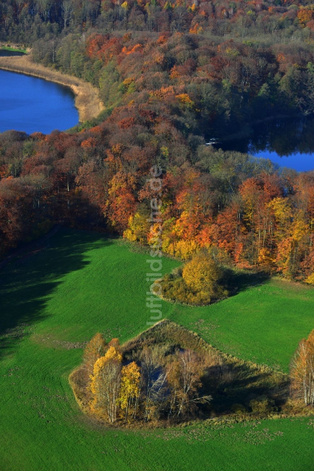 Friedrichswalde aus der Vogelperspektive: Herbstlandschaft am Ufer Großer und Kleiner Präßnicksee bei Friedrichswalde im Bundesland Brandenburg