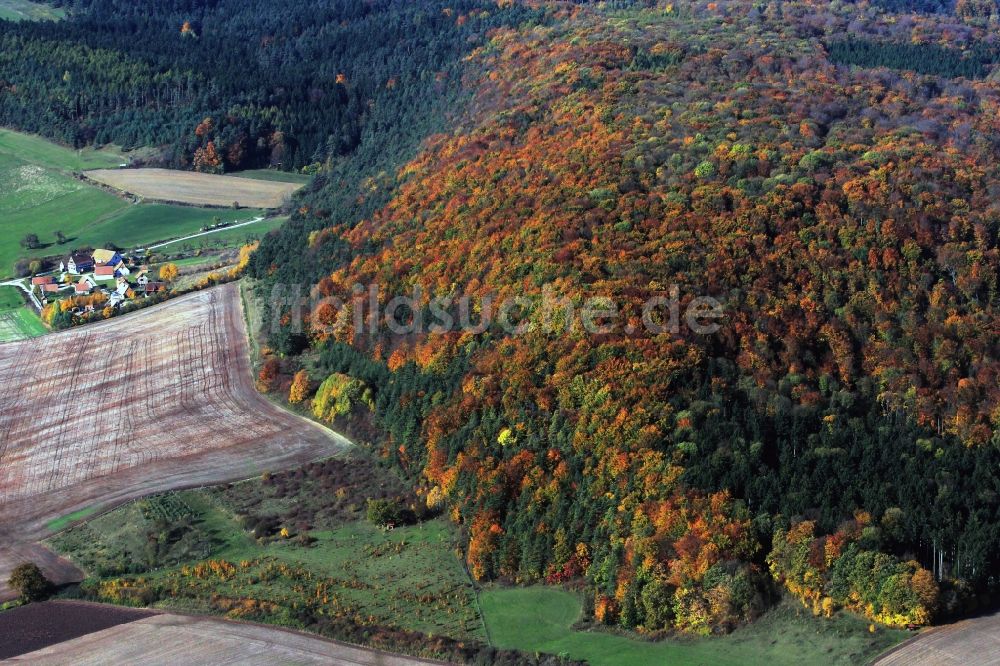 Hohenfelden von oben - Herbstlich bunt gefärbte Laub- Wald beim Freilichtmuseum Hohenfelden in Thüringen