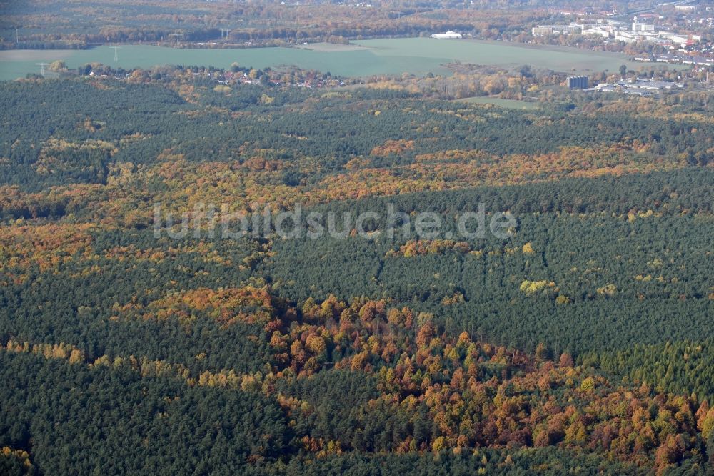 Alt Rüdersdorf von oben - Herbstlich bunt gefärbte Laubbaum- Baumspitzen in einem Waldgebiet in Alt Rüdersdorf im Bundesland Brandenburg