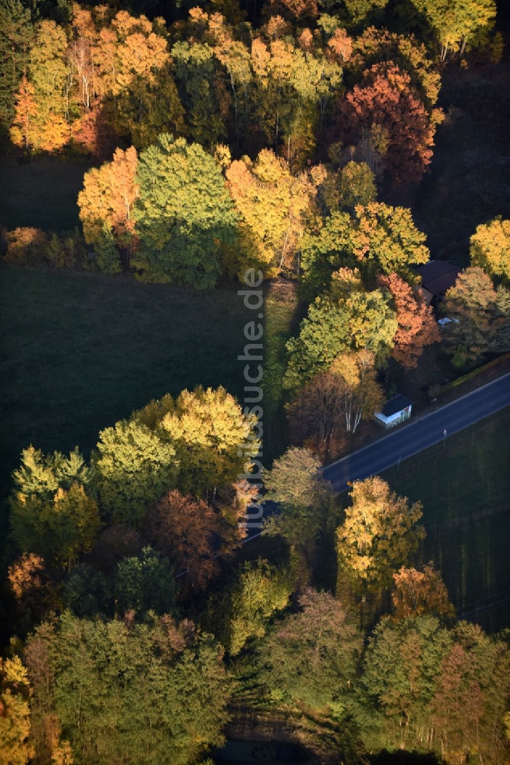 Luftaufnahme Heidesee - Herbstlich bunt gefärbte Laubbaum- Baumspitzen in einem Waldgebiet in Heidesee im Bundesland Brandenburg