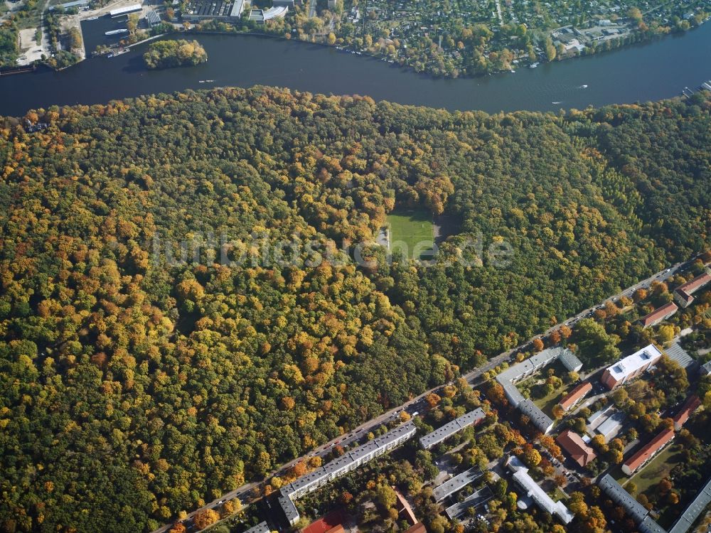 Berlin aus der Vogelperspektive: Herbstlich bunt gefärbte Laubbaum- Baumspitzen im Waldgebiet Plänterwald in Berlin