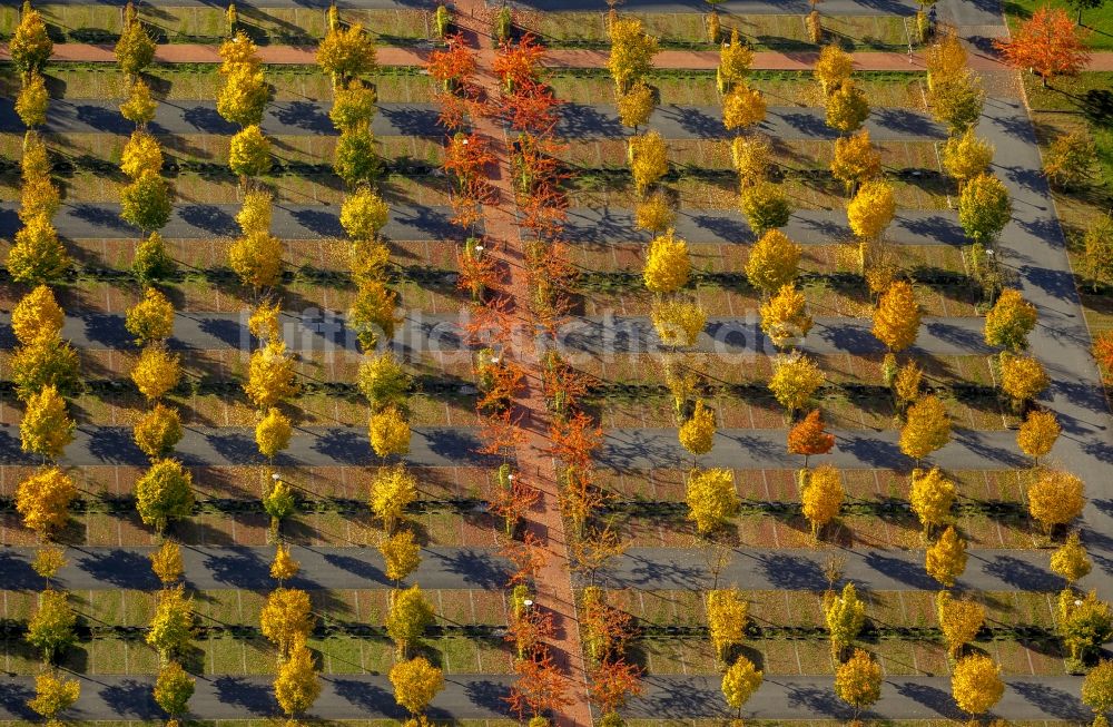 Hamm von oben - Herbstlich bunte Baumreihen auf dem Parkplatz vor dem Oberlandesgericht Hamm in Nordrhein-Westfalen