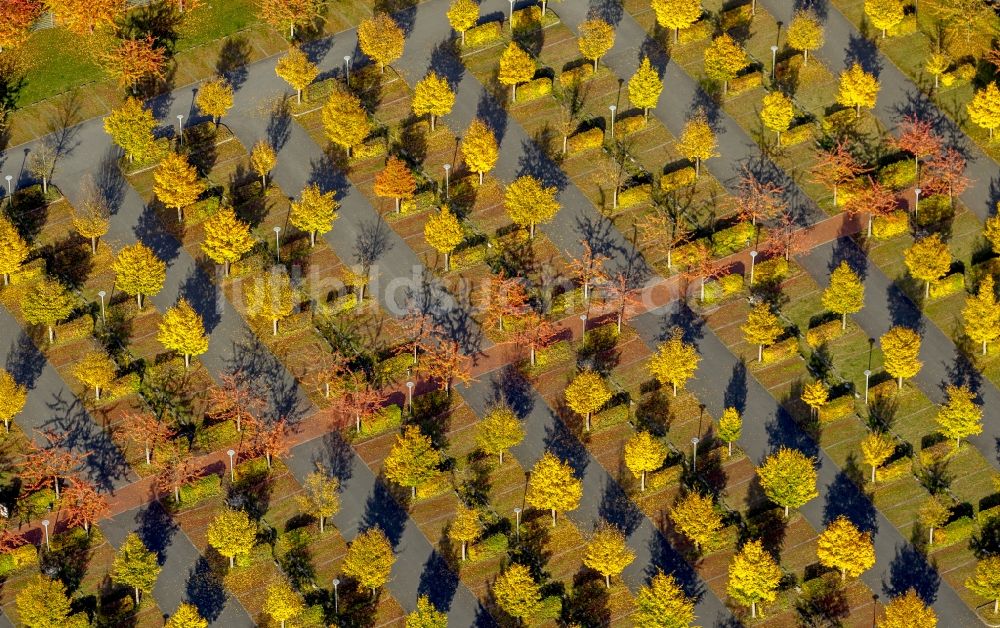 Luftaufnahme Hamm - Herbstlich bunte Baumreihen auf dem Parkplatz vor dem Oberlandesgericht Hamm in Nordrhein-Westfalen