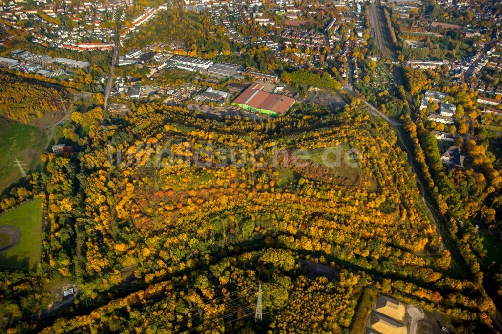 Luftbild Brauck - Herbstlich bunte Halde 22 in der Haldenlandschaft bei Brauck im Bundesland Nordrhein-Westfalen