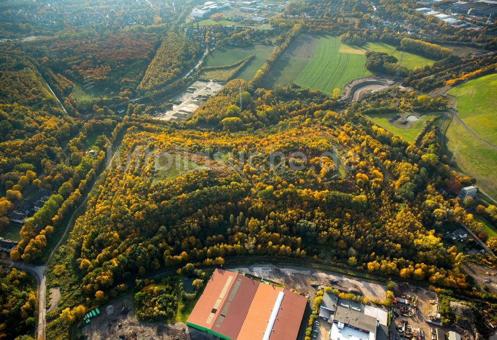 Luftaufnahme Brauck - Herbstlich bunte Halde 22 in der Haldenlandschaft bei Brauck im Bundesland Nordrhein-Westfalen