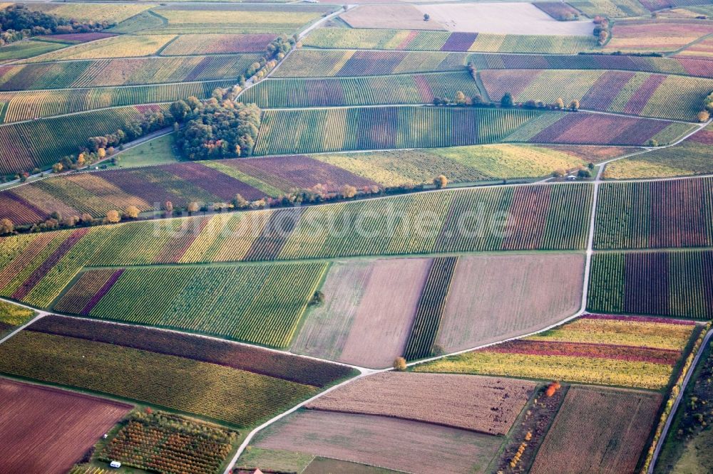 Luftbild Heuchelheim-Klingen - Herbstlich gefärbte Weinbergs- Landschaft der Winzer- Gebiete im Ortsteil Heuchelheim in Heuchelheim-Klingen im Bundesland Rheinland-Pfalz