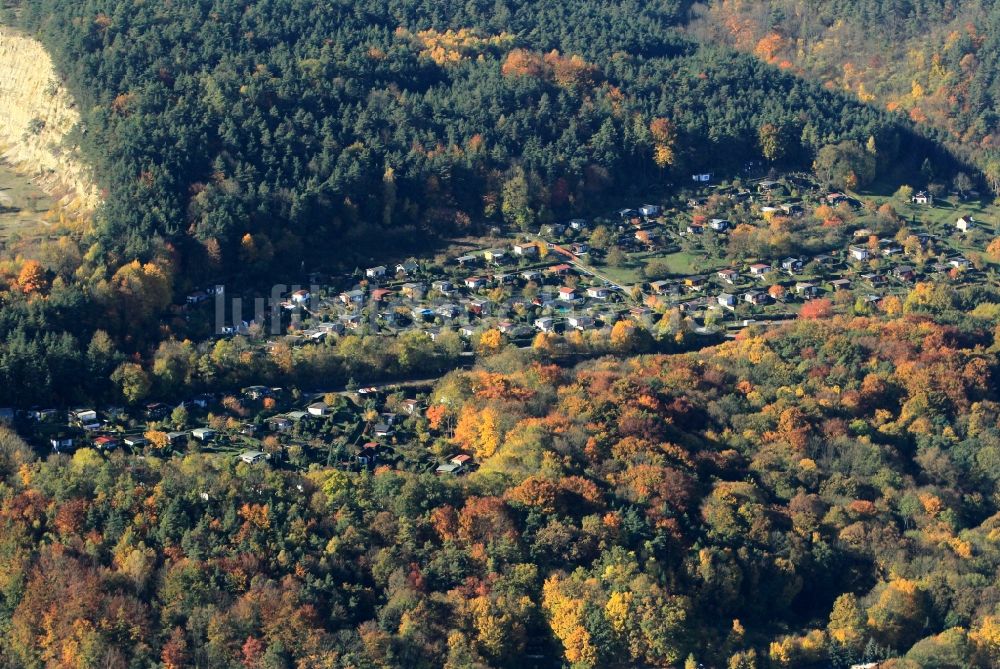 Jena von oben - Herbstlich gefärbter Wald bei Jena um Gartenanlage an den Kernbergen in Thüringen