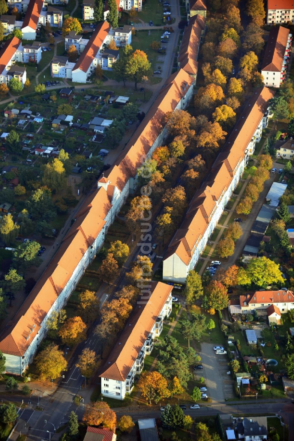 Luftaufnahme Hennigsdorf - Herbstlich gold gelb gefärbte Baumreihen an der Feldstraße in Hennigsdorf im Bundesland Brandenburg