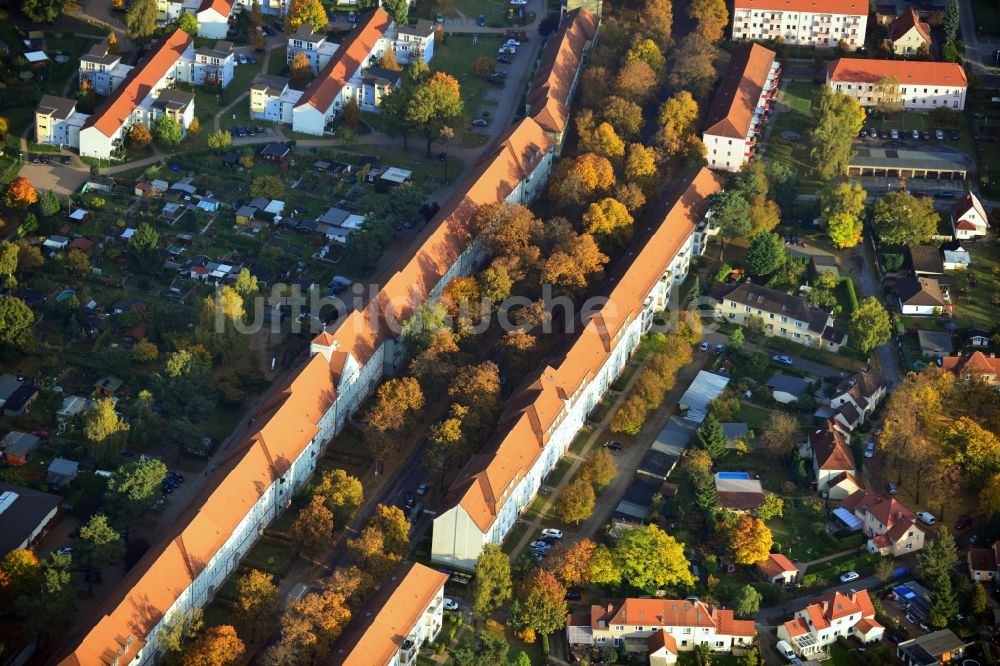 Hennigsdorf von oben - Herbstlich gold gelb gefärbte Baumreihen an der Feldstraße in Hennigsdorf im Bundesland Brandenburg