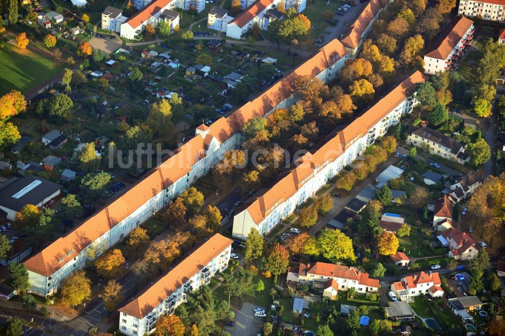 Hennigsdorf aus der Vogelperspektive: Herbstlich gold gelb gefärbte Baumreihen an der Feldstraße in Hennigsdorf im Bundesland Brandenburg