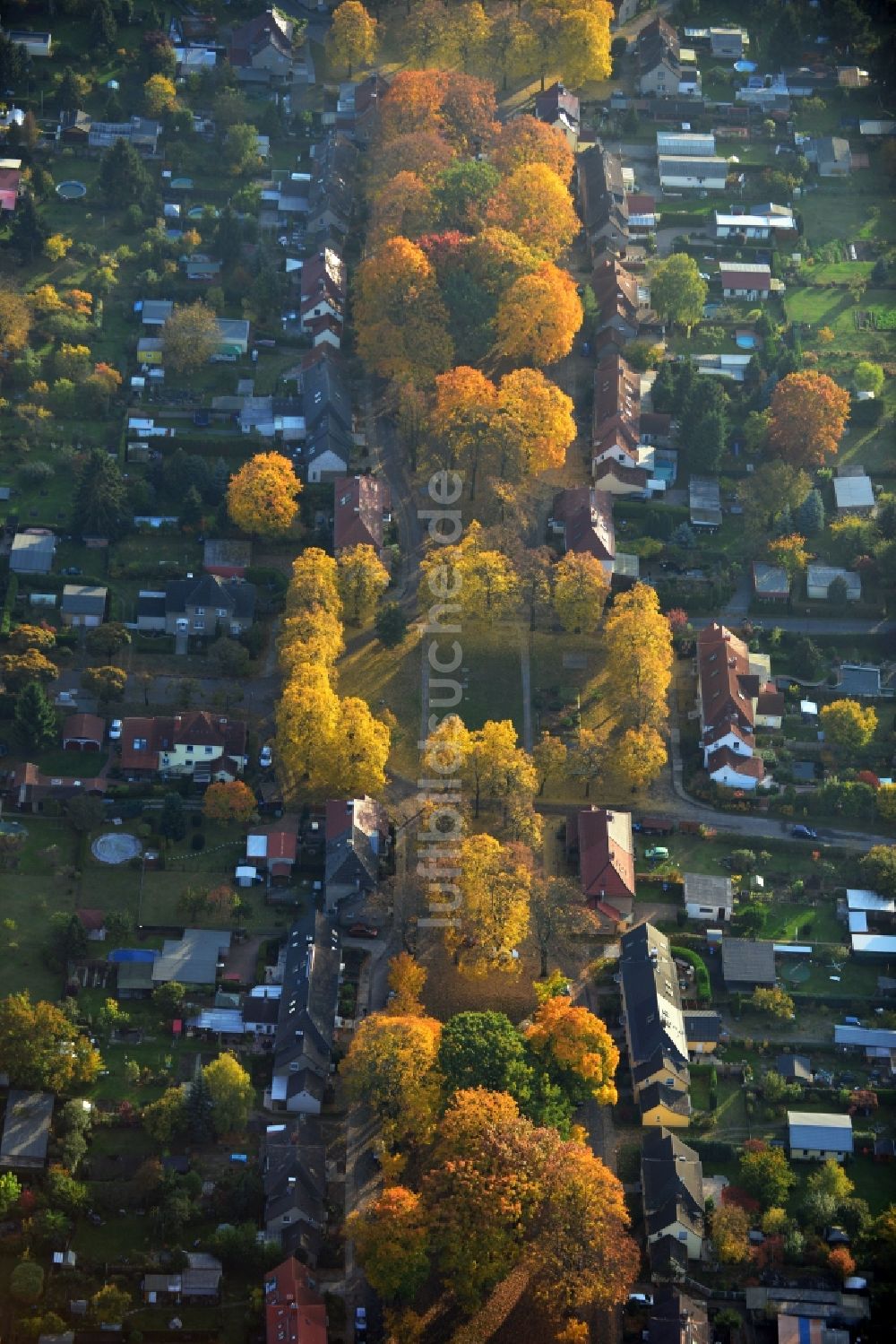 Hennigsdorf von oben - Herbstlich gold gelb gefärbte Baumreihen in der Heimstättensiedlung in Hennigsdorf im Bundesland Brandenburg