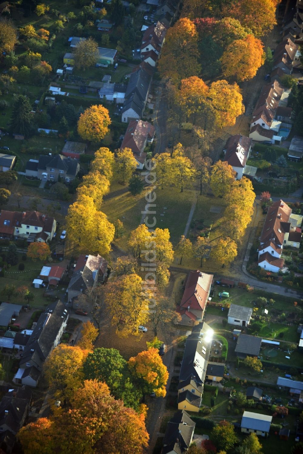 Hennigsdorf aus der Vogelperspektive: Herbstlich gold gelb gefärbte Baumreihen in der Heimstättensiedlung in Hennigsdorf im Bundesland Brandenburg