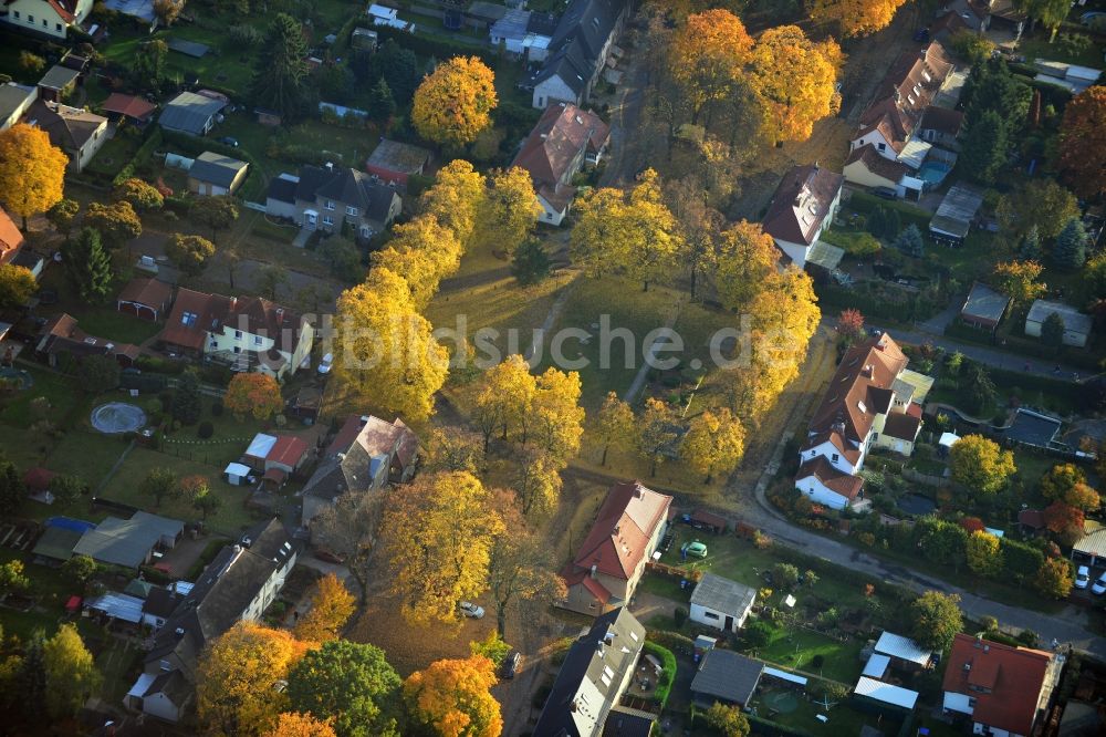 Luftbild Hennigsdorf - Herbstlich gold gelb gefärbte Baumreihen in der Heimstättensiedlung in Hennigsdorf im Bundesland Brandenburg