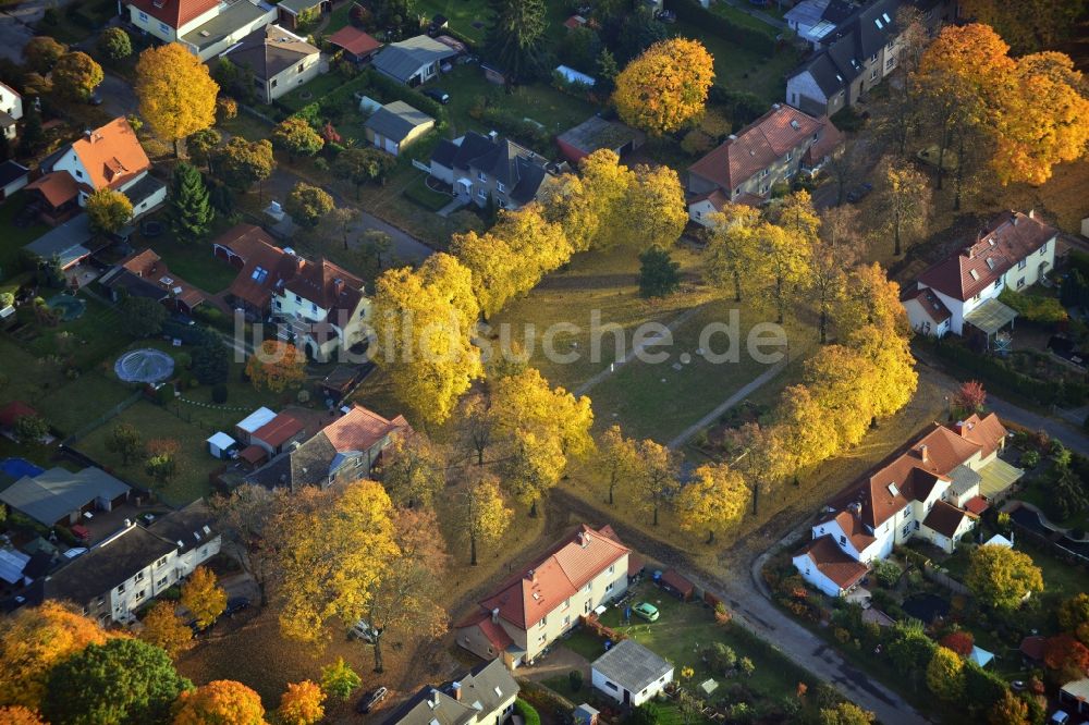 Hennigsdorf von oben - Herbstlich gold gelb gefärbte Baumreihen in der Heimstättensiedlung in Hennigsdorf im Bundesland Brandenburg