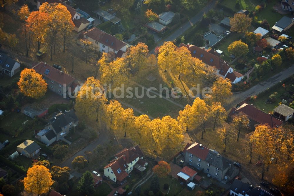 Hennigsdorf aus der Vogelperspektive: Herbstlich gold gelb gefärbte Baumreihen in der Heimstättensiedlung in Hennigsdorf im Bundesland Brandenburg