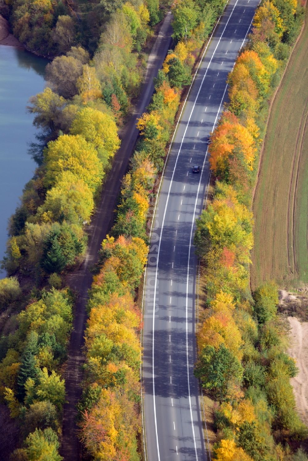 Bodenwerder aus der Vogelperspektive: Herbstliche Bundesstraße 240 Baumallee am Kiesteich in Bodenwerder im Bundesland Niedersachsen