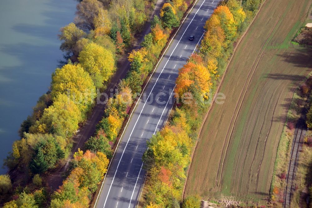 Luftbild Bodenwerder - Herbstliche Bundesstraße 240 Baumallee am Kiesteich in Bodenwerder im Bundesland Niedersachsen